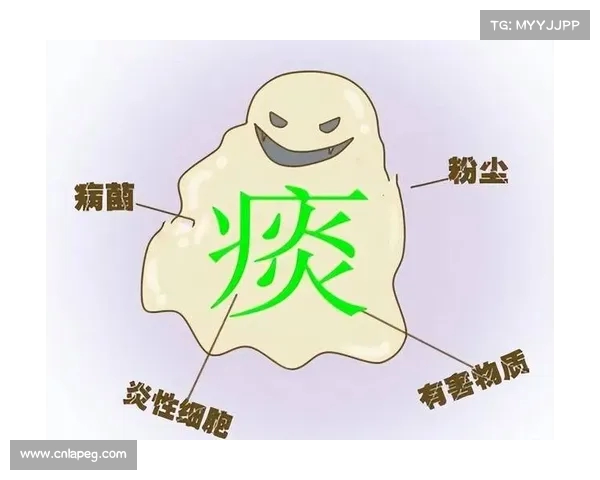 痰色警示:黑痰、黄痰与白痰分别代表哪些肺部健康问题? 痰色警示:黑痰、黄痰与白痰分别代表哪些肺部健康问题?