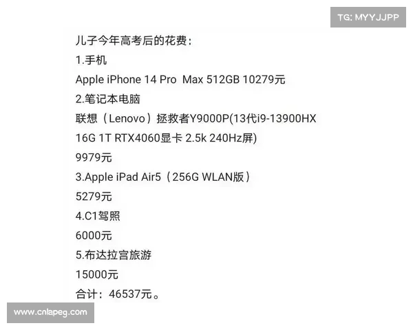 高考后的真实反思:妈妈的购物清单揭示了家庭经济的另一面(妈妈的消费特点) 高考后的真实反思:妈妈的购物清单揭示了家庭经济的另一面(妈妈的消费特点)